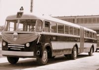Csukl
</p>

			
 </div>
  
	<div class=