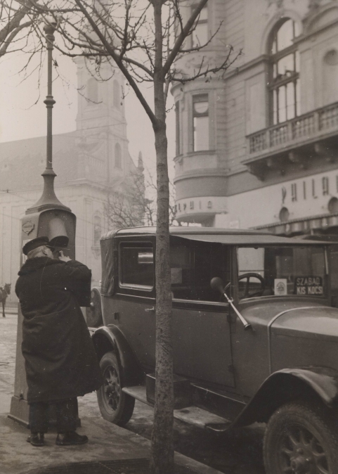 Taxidroszt