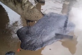 orosz, videó