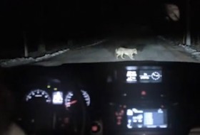 reklám, subaru, videó