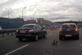 autópálya, baleset, orosz, oroszország, videó