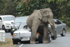 mercedes-benz, thaiföld, toyota, videó mercedes-benz, thaiföld, toyota, videó