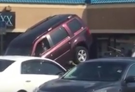 amerika, honda, videó
