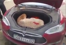 elektromos autó, kazahsztán, model s, tesla, videó