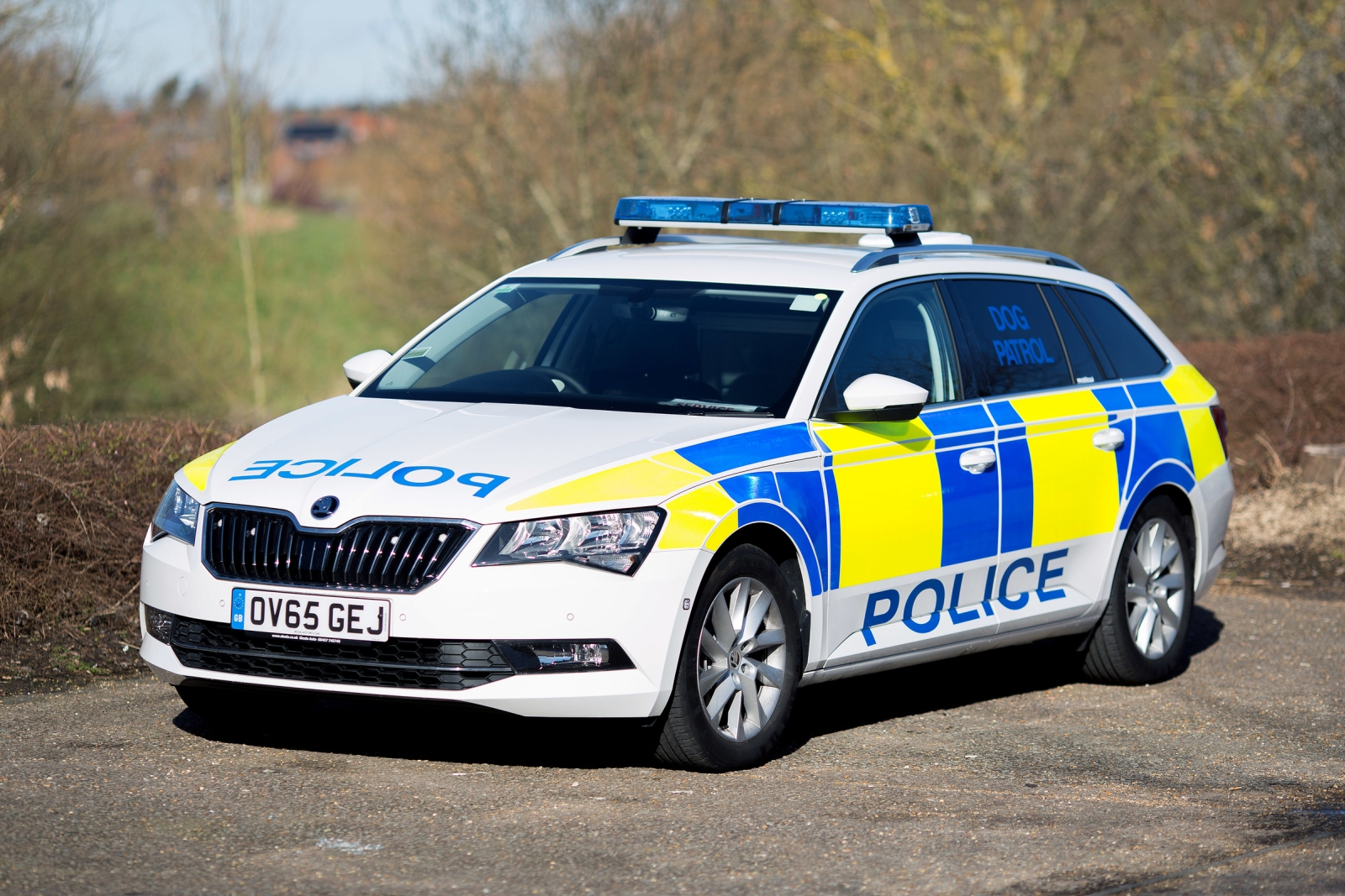 Kindred_Skoda_34490_Joel