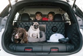 kutya, kutyabarát, nissan, x-trail, x-trail 4dogs