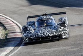 imsa, lmdh, porsche imsa, lmdh, porsche